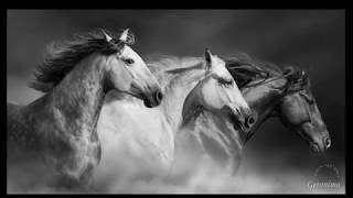 Geronimo The Shadows