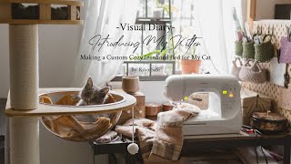 Visual Diary #45 | Introducing My New Kitten | Making A Custom Cozy Insulated Bed for My Cat