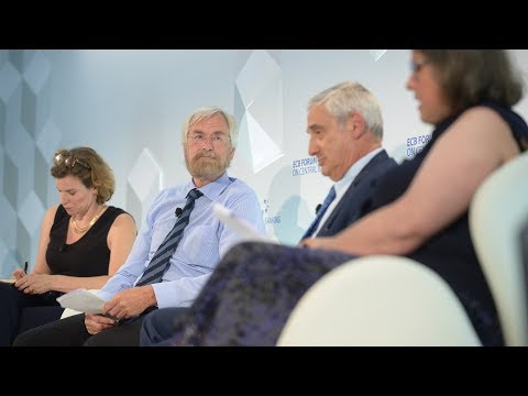 ECB Forum on Central Banking - Panel: Innovation, investment and productivity