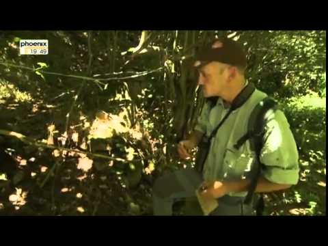 Sonne, Siesta und Saudade Spaniens magischer Norden Doku über Spanien Teil 3