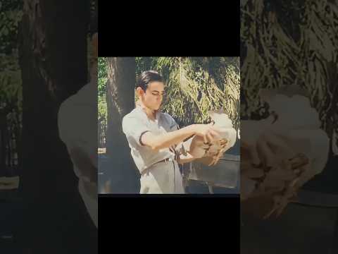 Cuba y su pasada produccion de pollos, 1941, Caminito de guayabal, Colon, Matanzas, Cuba, a color.