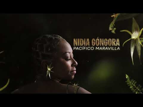 El Llamado - Nidia Góngora (Visualizer)