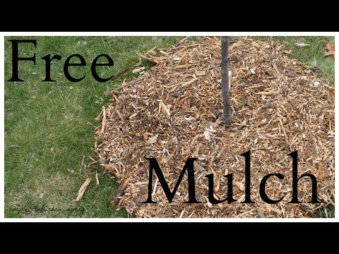 download lagu mp3 mp4 Mulch Near Me Free, download lagu Mulch Near Me Free gratis, unduh video klip Mulch Near Me Free