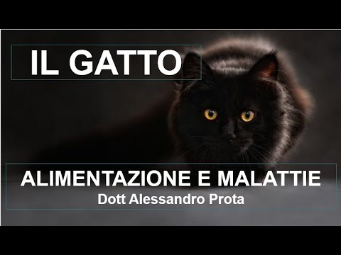 , title : 'Il Gatto :Alimentazione e Malattie'