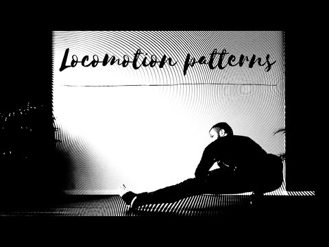 Basic Movement Patterns - Part 1 | Locomotion & Movement Exploration #1
