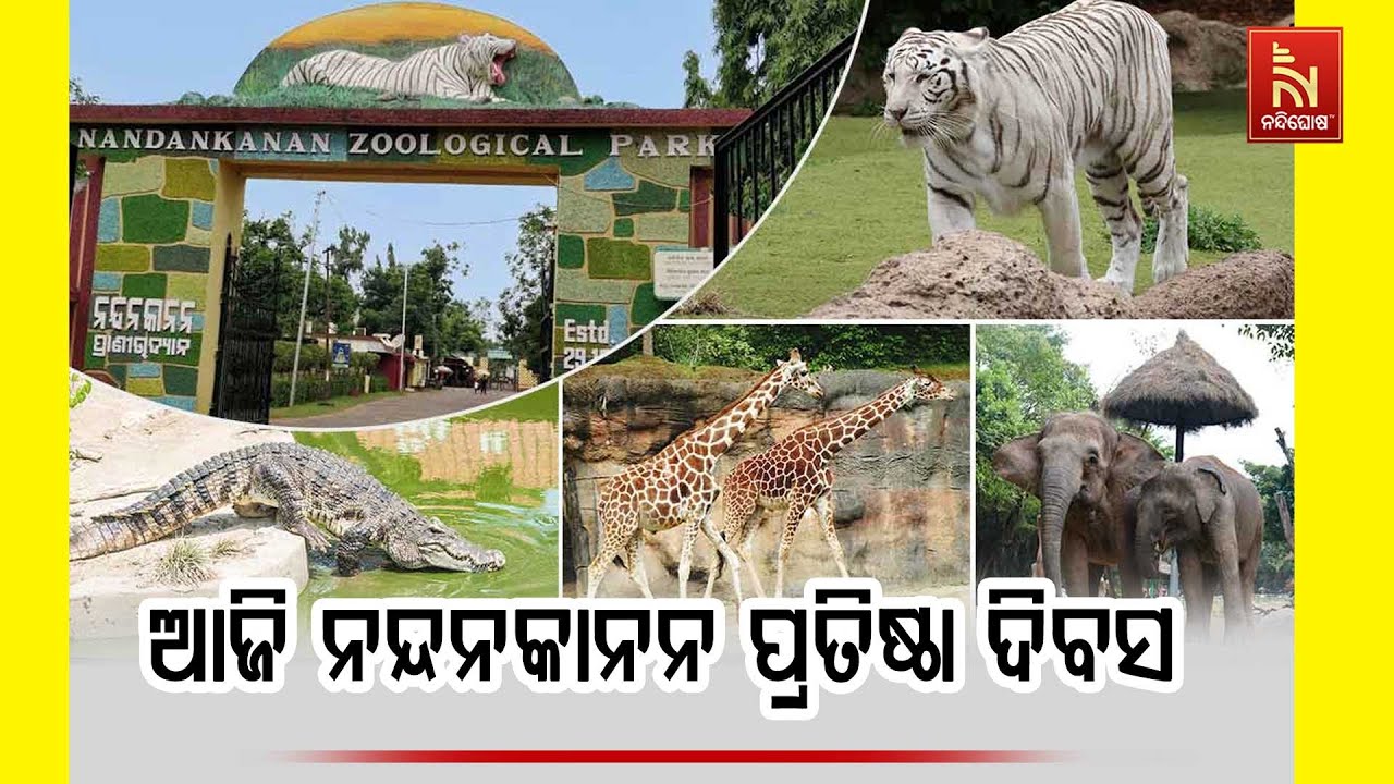 ଆଜି ନନ୍ଦନକାନନ ପାଳୁଛି ୬୬ତମ ପ୍ରତିଷ୍ଠା ଦିବସ।