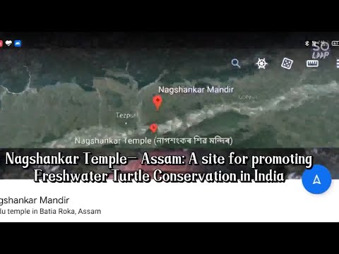 Nagshankar Temple-Assam: A Site for Promoting Freshwater Turtle Conservation in India