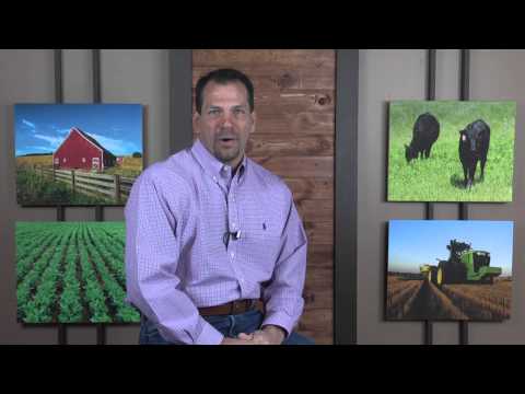 kansasAGreport 7-12-15 Show