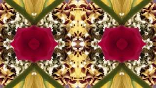 That'll Never Happen No More (by Dave Van Ronk live at Indiana U. '64)