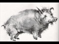 The Hog