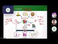Week 1 Orientation Overview Class 2 2
