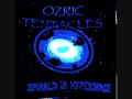 Ozric Tentacles - Slinky.wmv