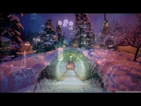 Polaaroïd - Winter HD