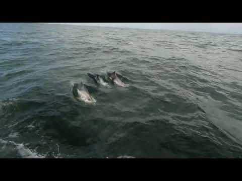 Boreal Sailboat44-Pilgrim....Leaving Oporto to Canaryas