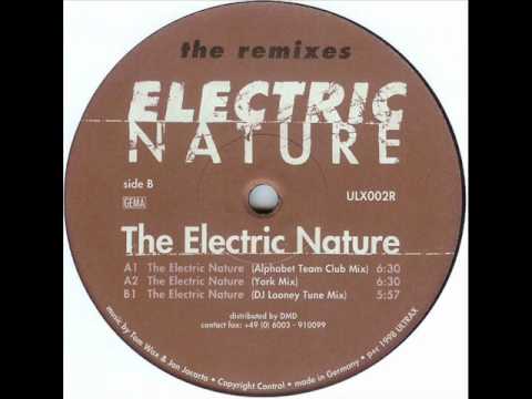 Electric Nature - The Electric Nature (DJ Looney Tune Mix)