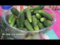 ВКУСНЫЕ ХРУСТЯЩИЕ малосольные ОГУРЧИКИ! САМЫЙ ПРОСТОЙ рецепт малосольных огурцов