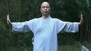 Shaolin 12-part internal kung fu (yi jin jing)