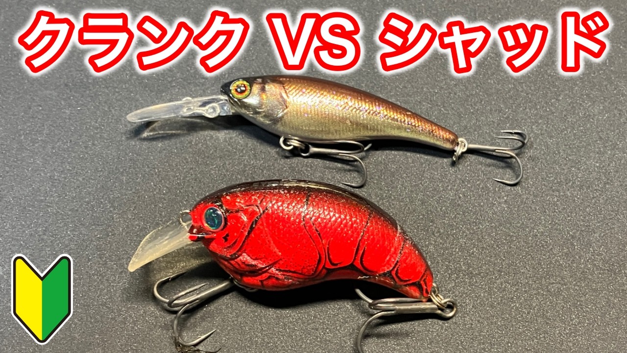 バス釣り初心者向けクランクベイトとシャッドの使い分けを解説