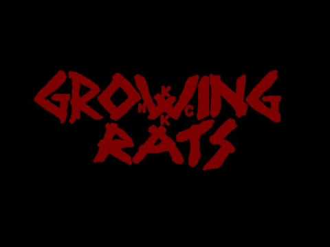Growing Rats - Enakost