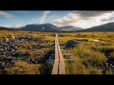 Solo Hiking 120km Along The King's Trail in Sweden