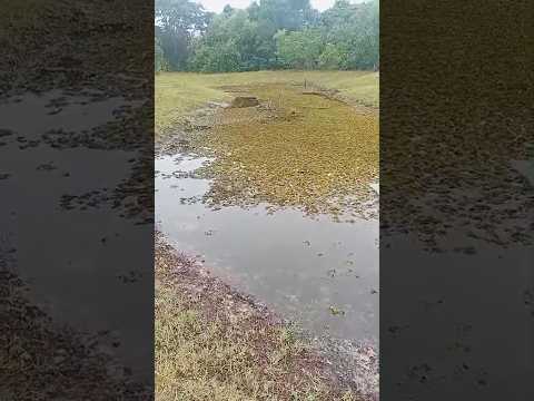 Choveu muito em Barra de Caravelas - BA.