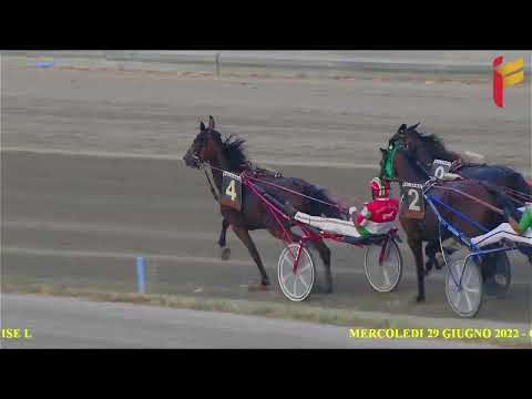 VII Corsa del 29 giugno 2022 - 4 Anni - Metri 1600