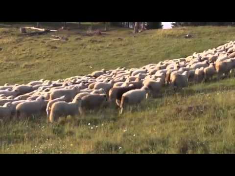 Pensiuni Voineasa - Cazat.ro