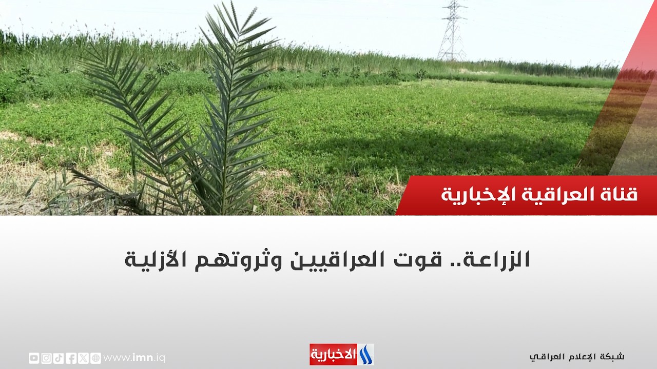 فيديو | الزراعة.. قوت العراقيين وثروتهم الأزلية | تقرير منتظر جاسم