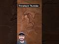 Most famous Fossil? #throwbackthursday #fossil #dinosaur #bird #wildlife #funfact #archaeopteryx