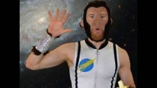 Space Monkey CZW Theme 'Kung Fu Master'