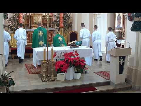 31.01.2021r.  g. 10.30  -  Msza Święta  - IV Niedziela Zwykła