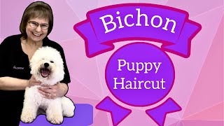 BICHON puppy HAIRCUT. STEP by STEP. Watch this 5 month old BICHON get groomed & Stretch/fluff dried.