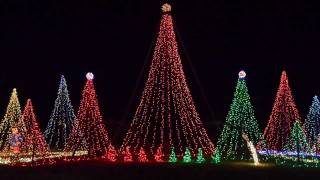 Deltaville Christmas Lights: Straight No Chaser&#39;s &quot;We Three Kings&quot;