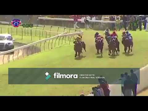 Race Meeting 18 All Wins