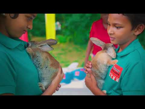 One Seed For Change Feed to Fork - Rabbit Rearing EPIC Initiative