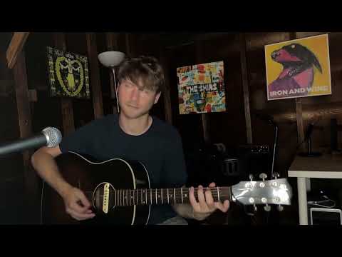 Devil in a Sleeping Bag - Willie Nelson (cover)