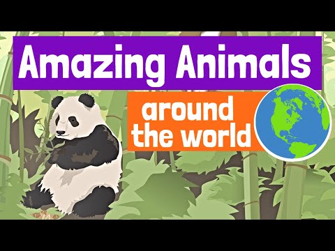 image-What animal lives everywhere on earth?