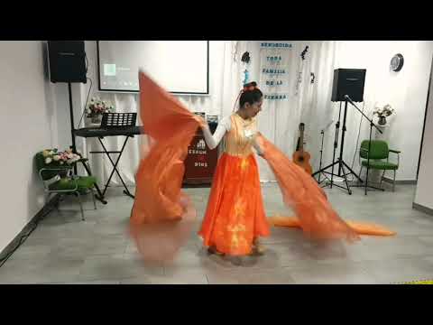 Danza Úngeme - Denicher Pol