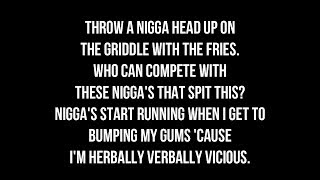 Twisted Insane- Smash *LYRICS ON SCREEN*