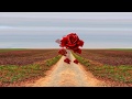 Good Morning Video
