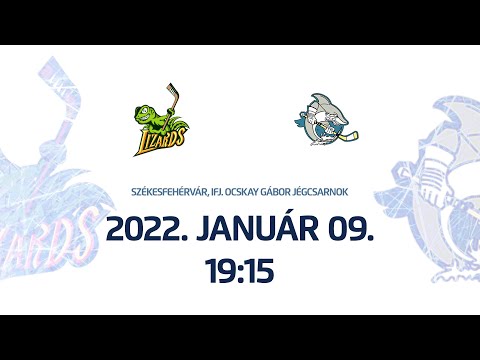 NU25B | Lizards - White Sharks HC