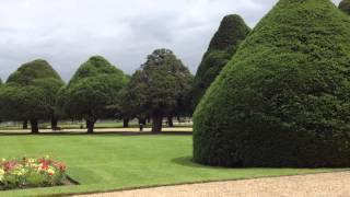 Beautiful Bountiful Border Gardens