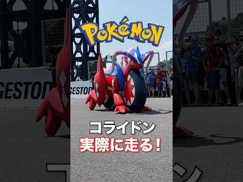 It's amazing to see the life-size Corydon running on its own!!! #Pokemon