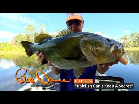Baitfish Can't Keep A Secret | Bill Dance Outdoors TV (Full Episode)
