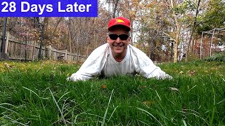 Repair an Ugly, Damaged Lawn in 4 Weeks: Here's the RESULTS, How To #diy
