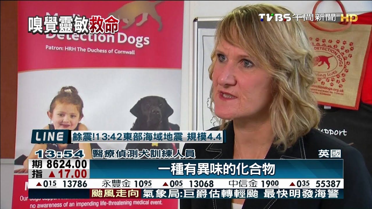 狗狗受訓「聞」癌症! 靈敏判斷準確率93%