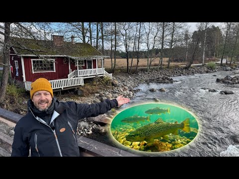 Freeing the Rapids: The Return of the Wild Trout