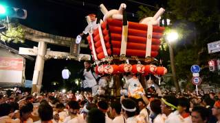 preview picture of video '八尾市 高安まつり（高安蛸祭り）2013 宮入 松の馬場 Takayasu Festival'
