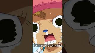 Download lagu When Straw Hats Crew realized Luffy's message about 3D2Y #fypshorts #fypシ #onepiece #onepiecefan mp3