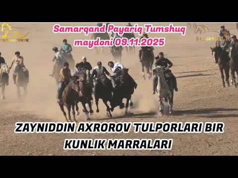 SAMARQAND URGUT ZAYNIDDIN AKA AXROROV TULPORLARI BIR KUNLIK MARRALARI. TUMSHUQ MAYDONI 09.11.2025